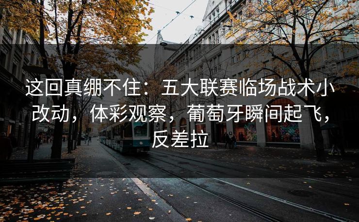 这回真绷不住：五大联赛临场战术小改动，体彩观察，葡萄牙瞬间起飞，反差拉